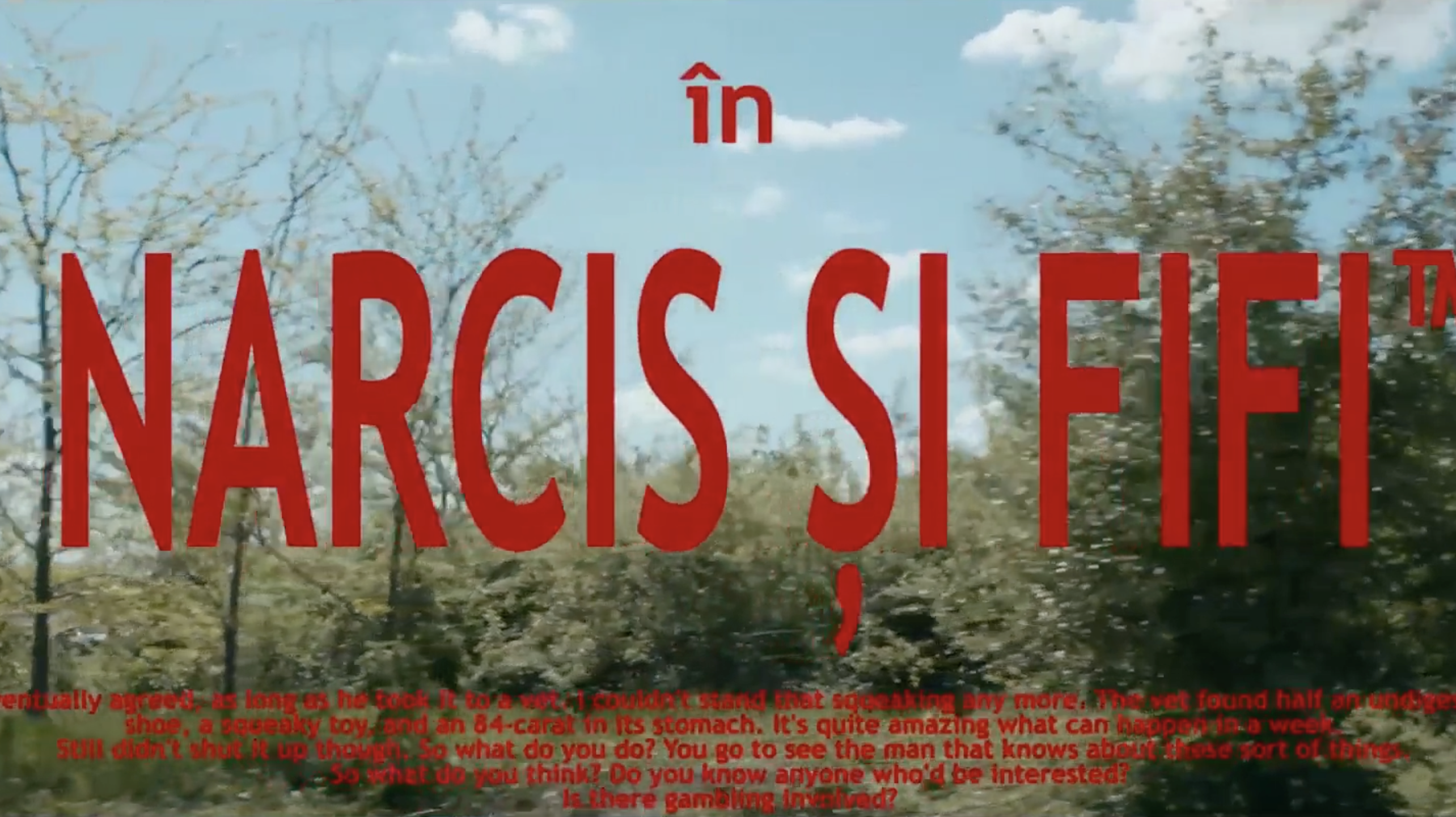 Narcis si Fifi – 2017